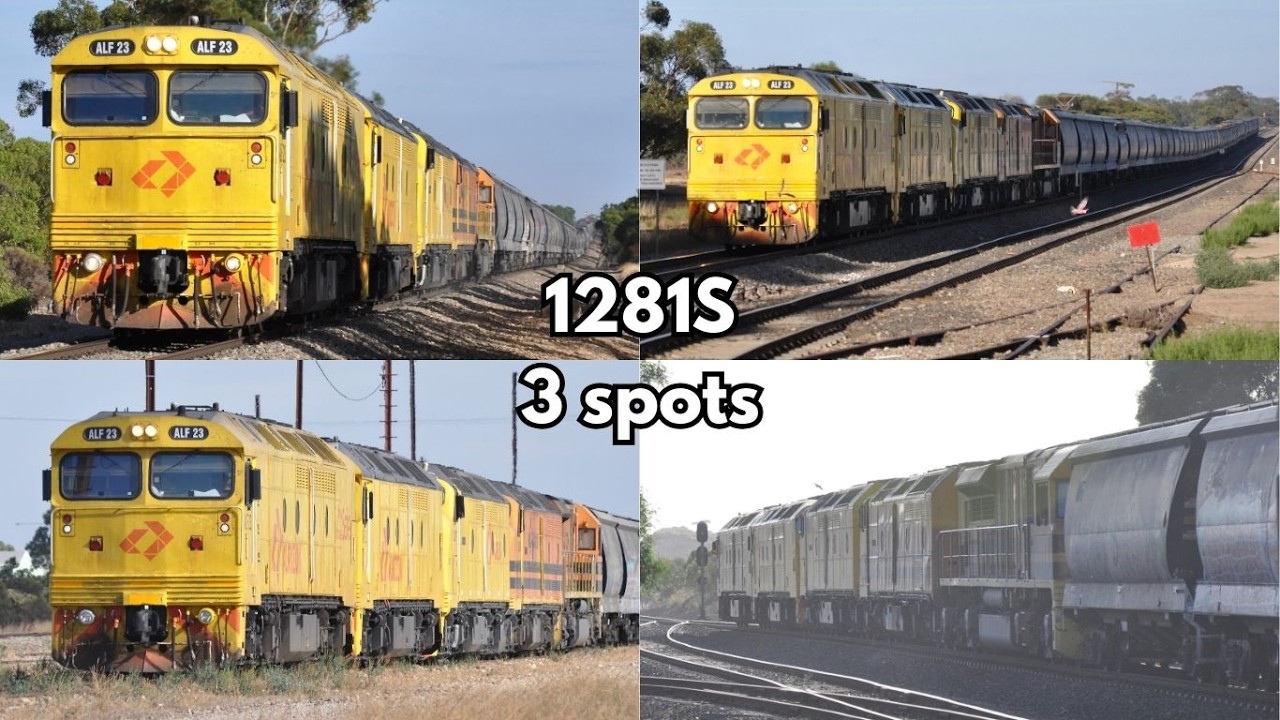 1281S | ALF23, ALF22, CLP17, CLP16 & GWA010 | 2 spots + Loading at Tailem Bend
