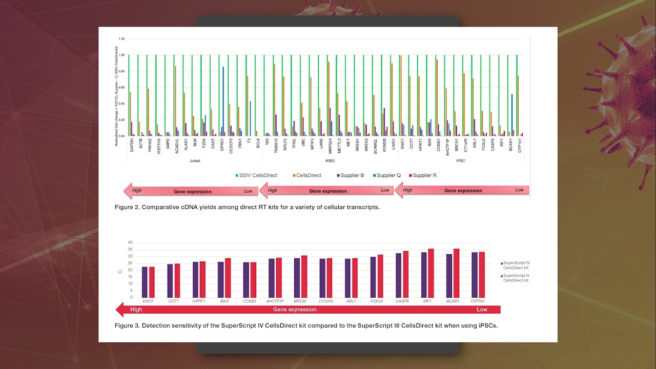 Invitrogen&trade; SuperScript&trade; IV CellsDirect&trade; cDNA Sentez Kiti