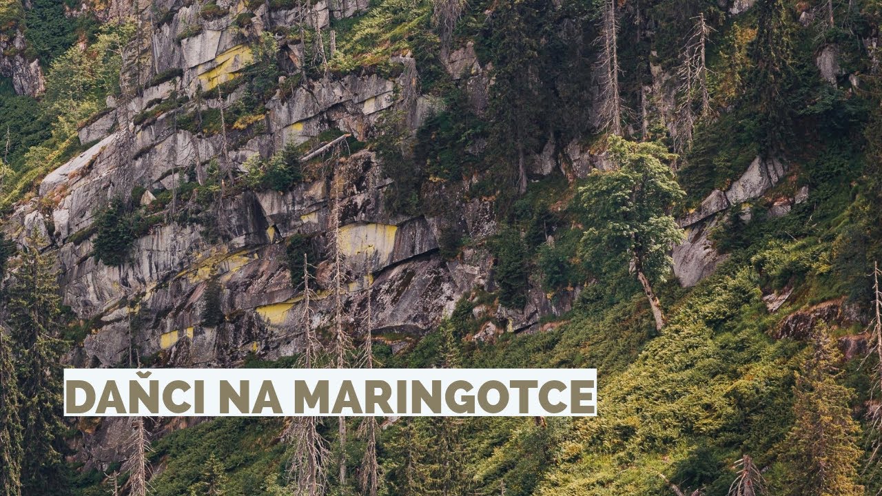 Daňci na maringotce!
