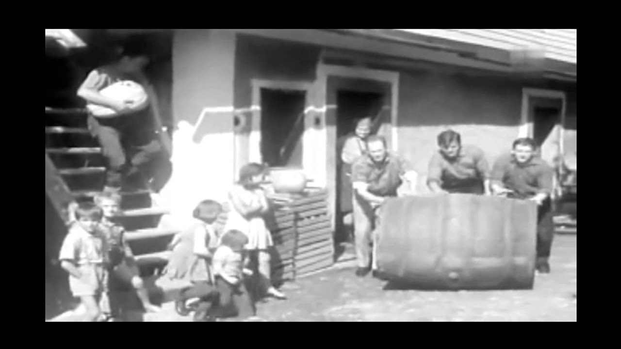 Jože Šifrer Slakov slavček