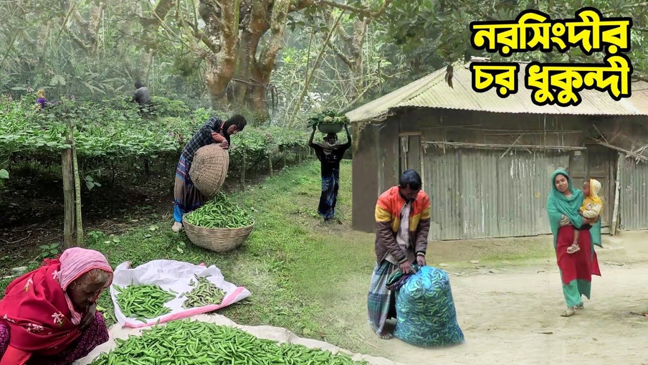 নরসিংদীর রায়পুরার ধুকুন্দী চর || Panorama Documentary