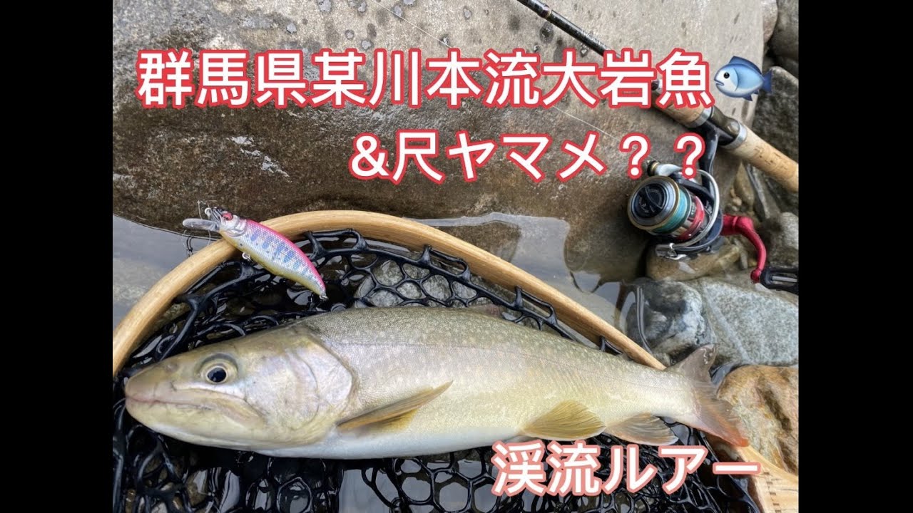 群馬の本流大岩魚‼️からの尺ヤマメ？渓流ルアー釣り！！