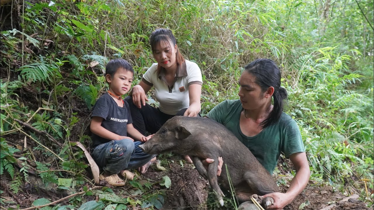 Discovering traces of wild boars, the couple dug a deep hole to trap them, SURVIVAL ALONE