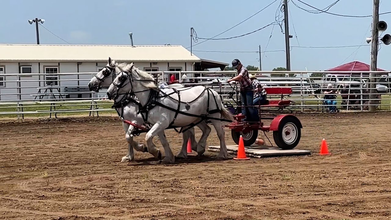 Lyndon Farm Team Competition and Don Copa Plowing