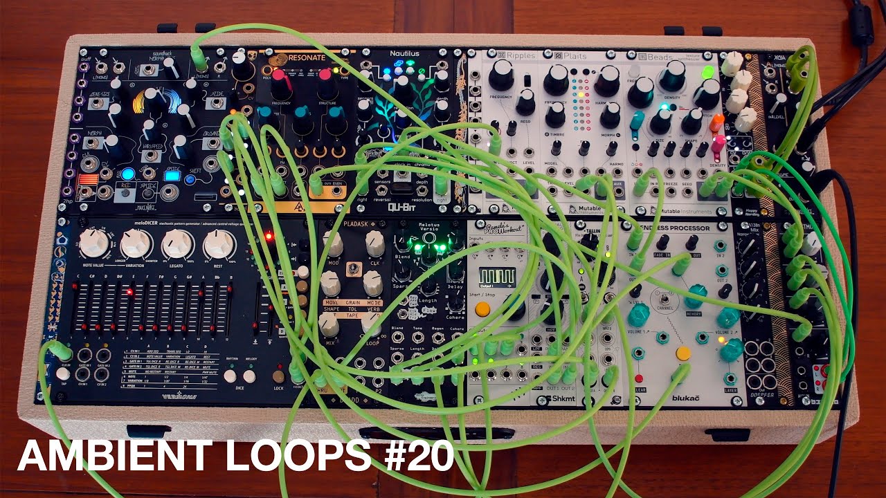 Ambient loops #20 ∞ Eurorack (meloDICER, Dradd, Nautilus, Melotus Versio, Endless Processor)