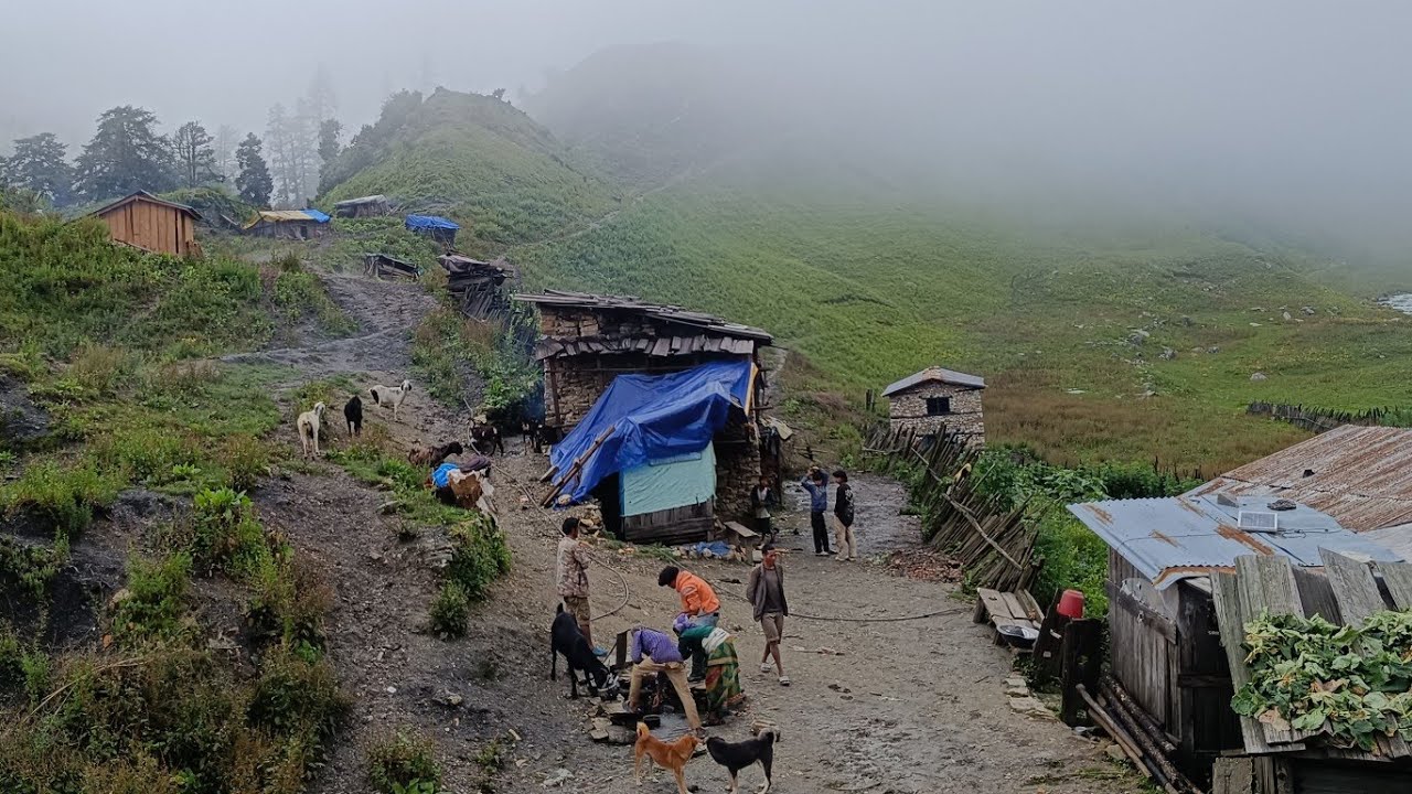 Best Rural Life in The Barekot Himalayan Village in Nepal | How People Live in Rainy Day |