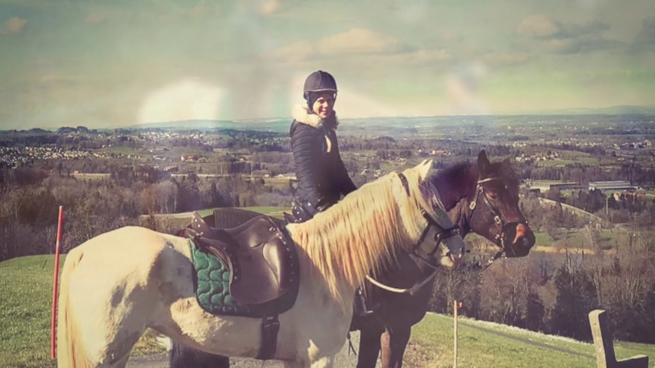 Remonten-Ausbildung - Tennessee Walking Horse