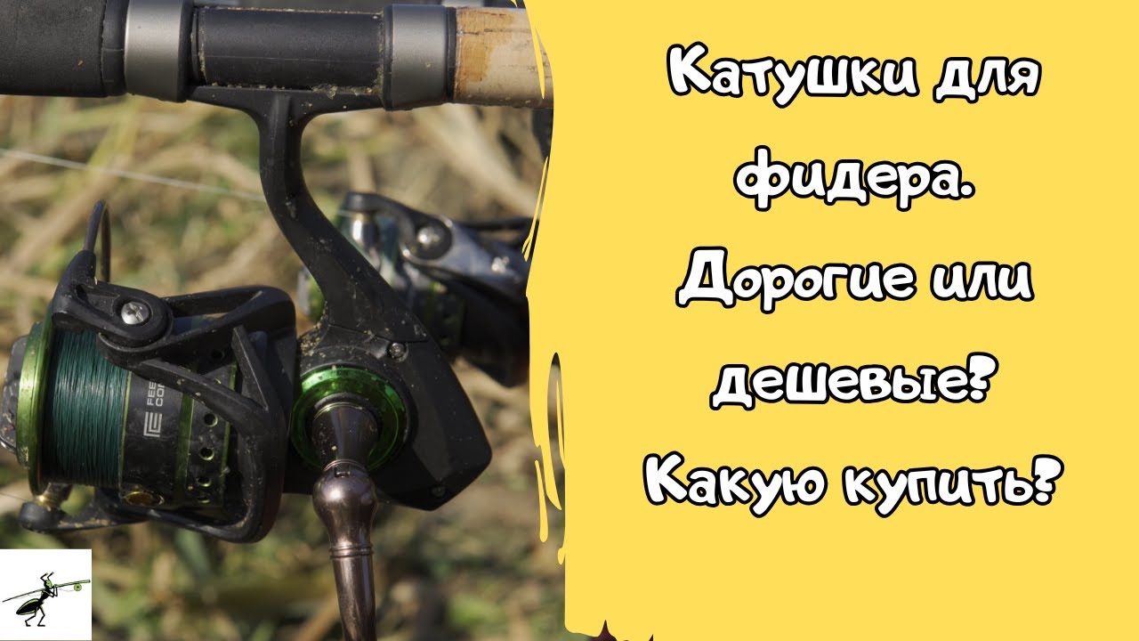 Рыболовные катушки для фидера. Дорогие или дешевые? Какую катушку купить на фидер в 2024 году?