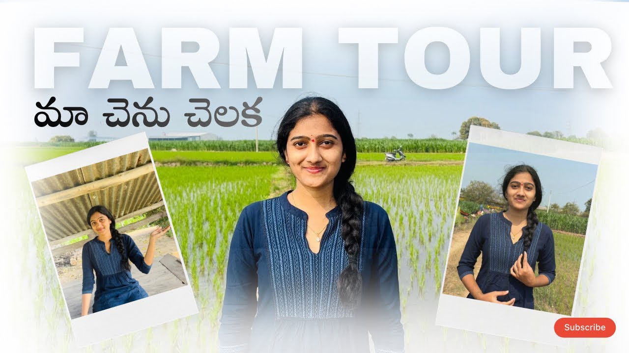 Maa Chenu Chelaka | Farm Tour | by_sanjanareddy | Sanjanaa 