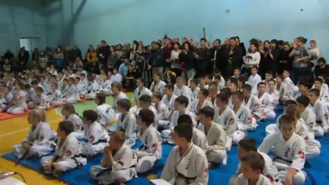 Ashihara Karate Ukraine.  Enshin Karate Ukraine. Nikolaev Sabaki Challenge 2015