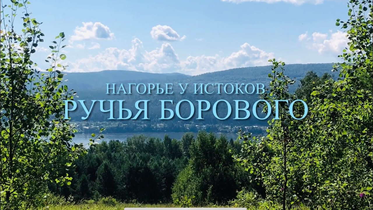 Нагорье у истоков ручья Борового.