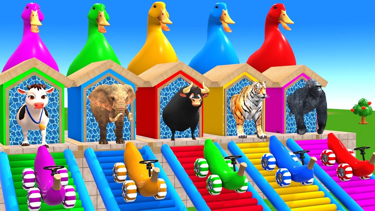 Long Slide Game With Cow Elephant Gorilla Hippopotamus Tiger 3d Animal Game Funny 3d Animals
