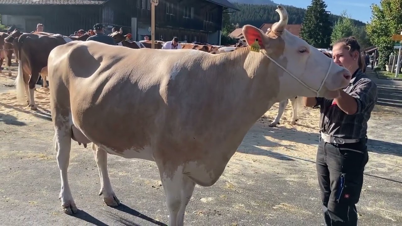 Mit Dürrenmatts an der Beständeschau