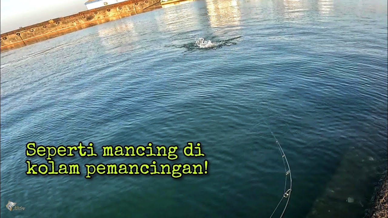 Ultralight Casting, 5 Macam Lure Disikat Semua!!