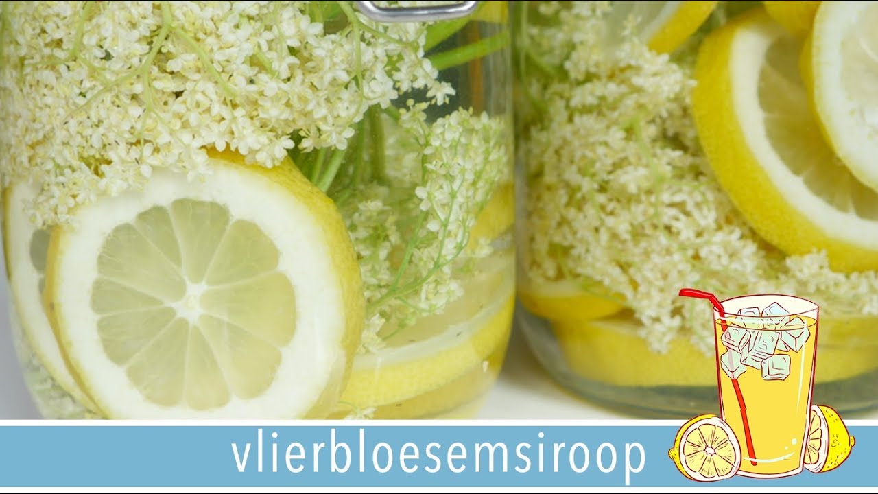 Vlierbloesemsiroop🍹, maak het zelf!  | RENSKE VISSER GEWICHTSCONSULENT