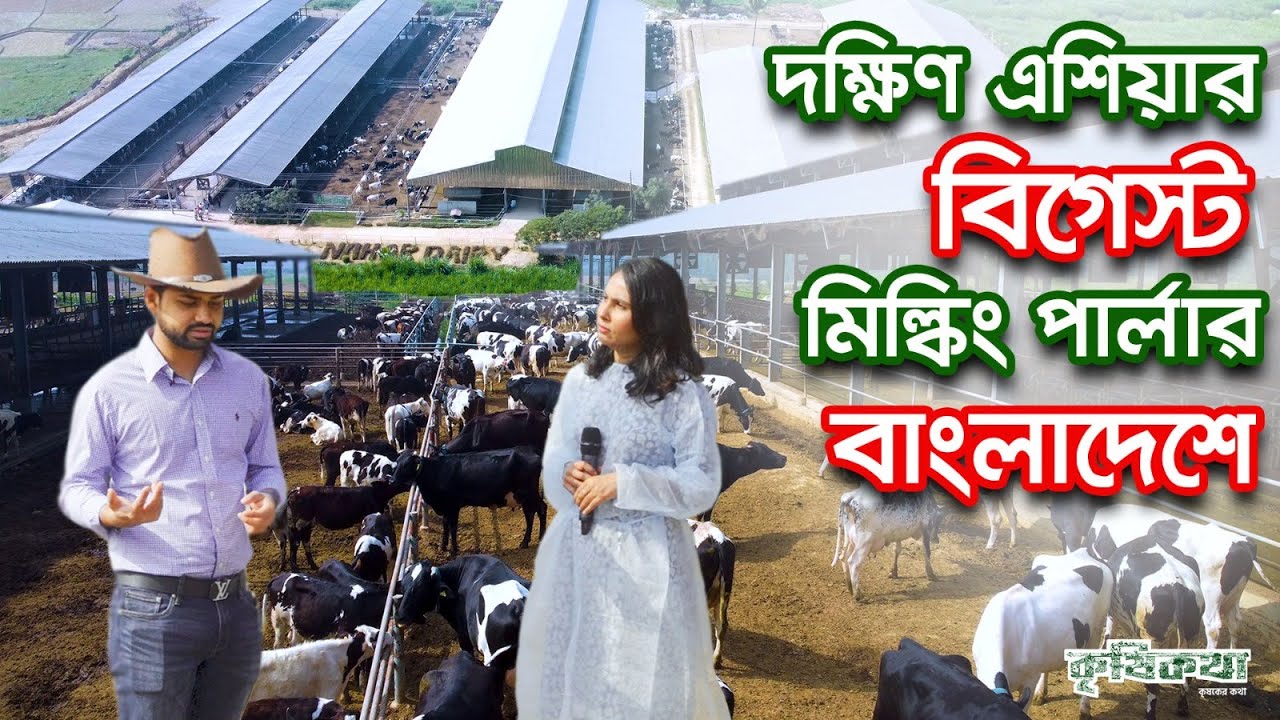 নাহার ডেইরি অন্যতম বিগেস্ট মিল্কিং পার্লার এখন বাংলাদেশে। Nahar Dairy। Best Modern Dairy Farm in BD