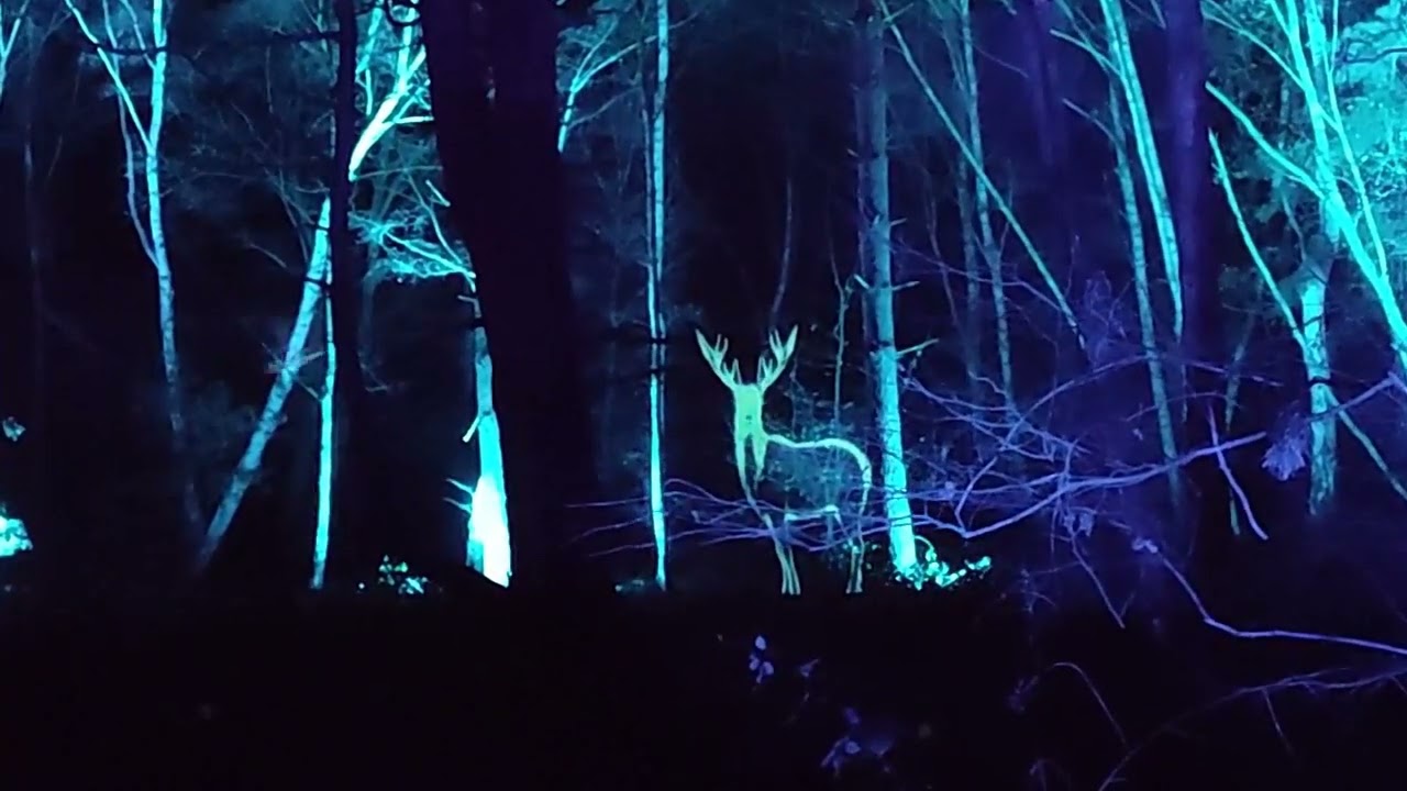 Windsor Great Park Illumination 2022