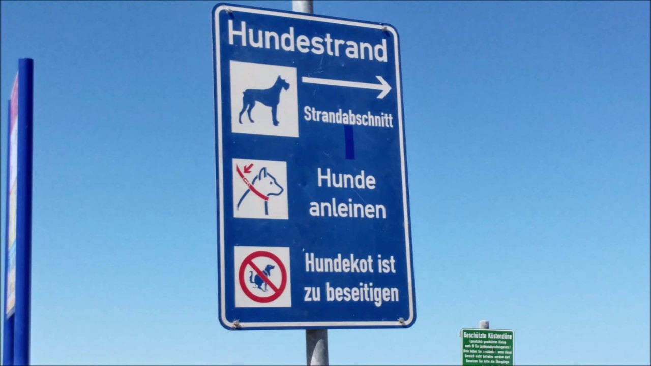 Ostsee mit Hund | Hundestrand-Tipp Sehlendorfer Strand