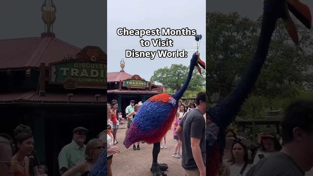 Cheapest Months to Visit Disney World
