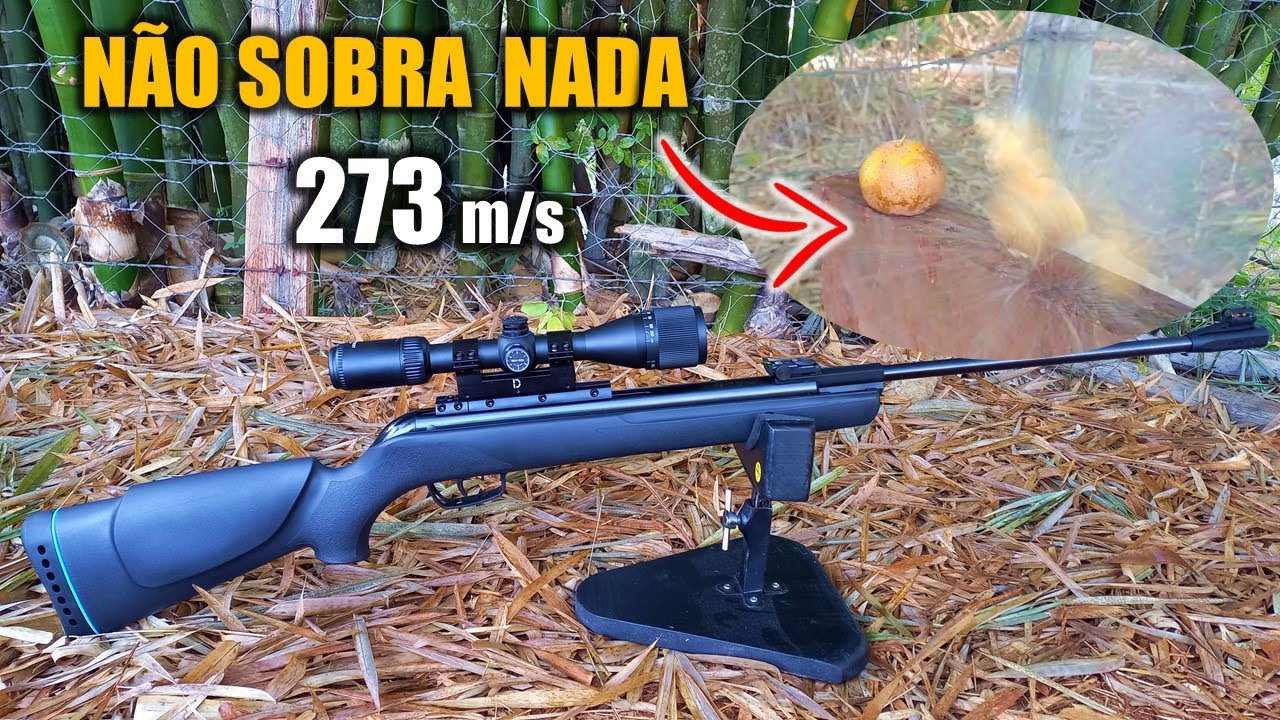 CARABINA GAMO BIG CAT COM DESTROYER 273 m/s 4.5 mm