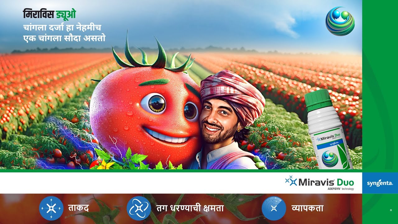 Syngenta | Miravis Duo | Tomato | Fungicide | मिराविस डुओ टोमॅटो बुरशीजन्य रोगनाशक | Marathi