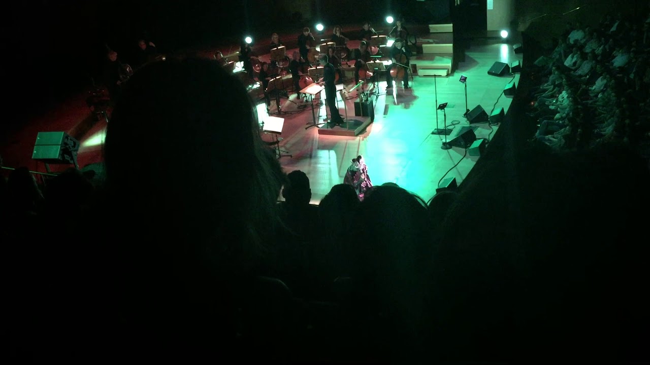 Bjork Disney Concert Hall