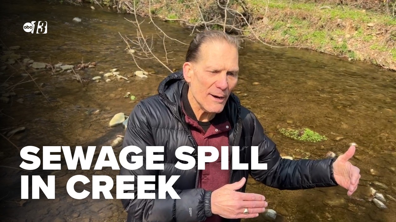 Житель округа Нельсон обратил внимание на переполненную канализацию на очистных сооружениях в Вир...