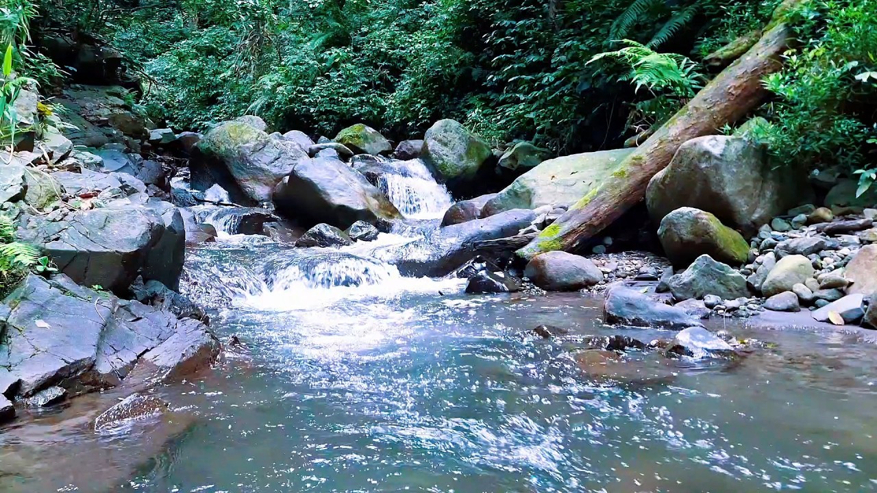 Calm River Sounds for Inner Calm
