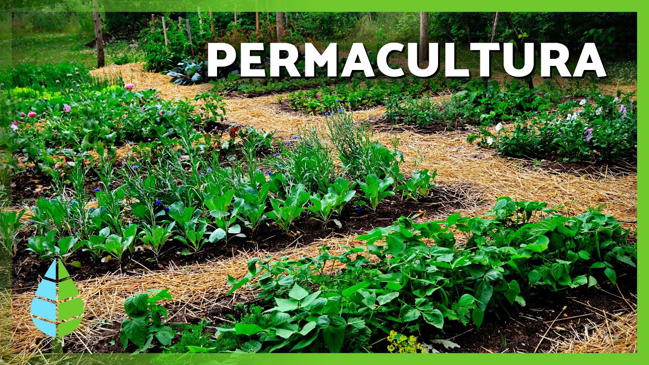 QUÉ es la PERMACULTURA 🌱 | Principios, ventajas y desventajas
