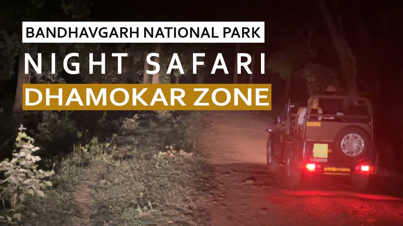 Bandhavgarh Night Safari | Dhamokhar Buffer Zone | Wildlife Documentary