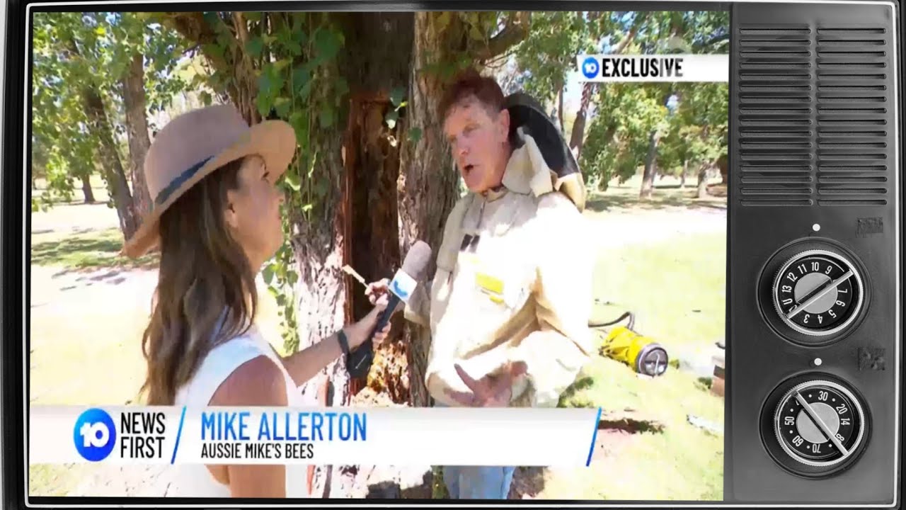 Aussie Mike on 10News Sydney for a Bee rescue gone wrong!