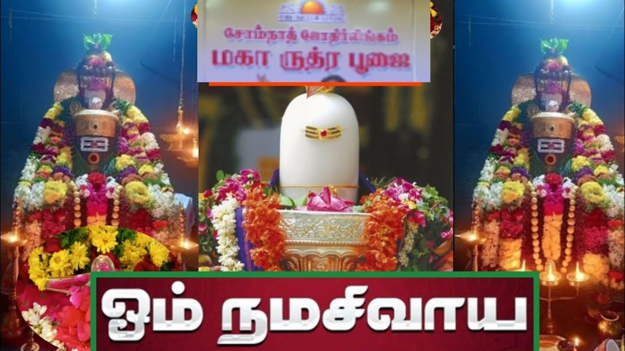 Jyotirlingam worship #ungalodunaanga #sivan #lingam #live #livestream #ungalodunanga #om