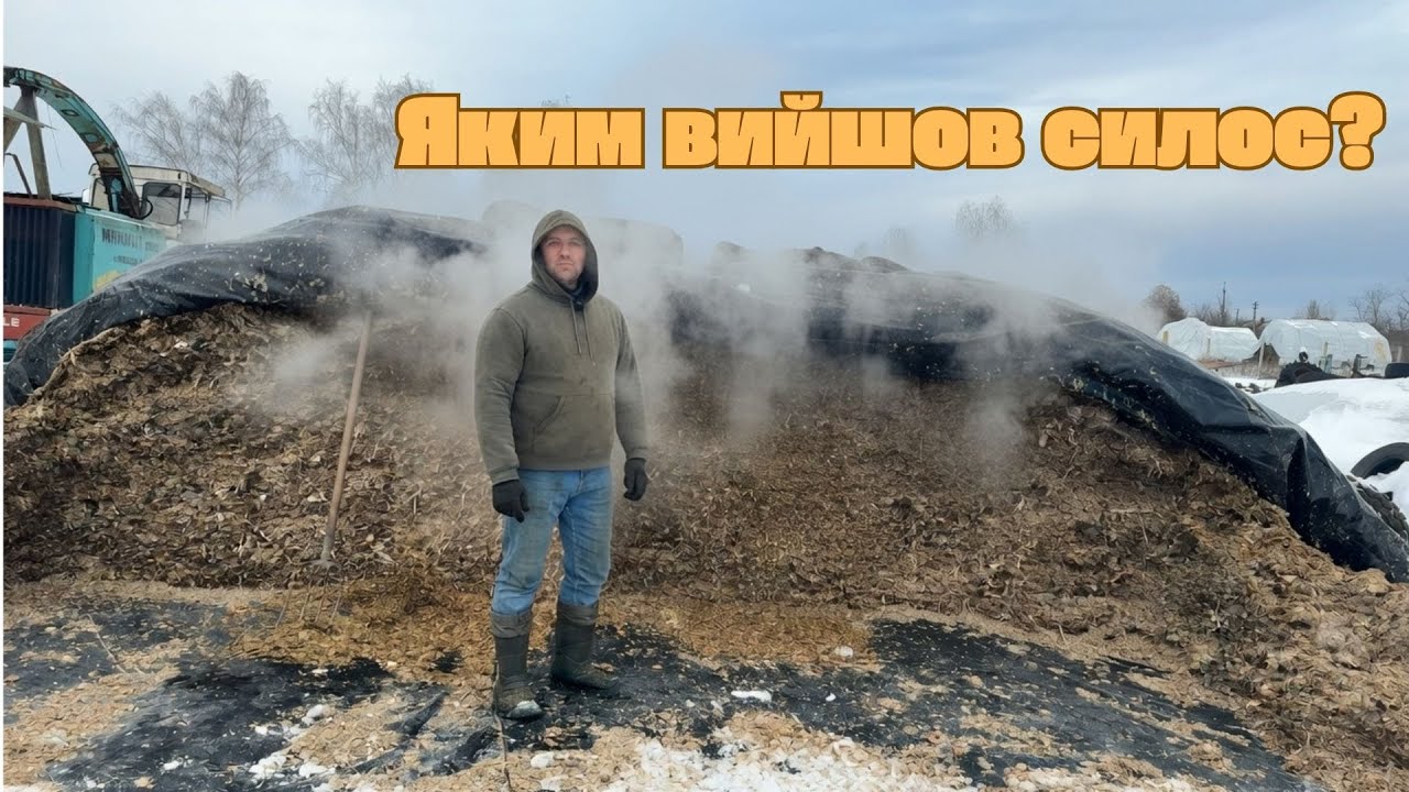 Результати силосування: що пішло не так і що вдалося