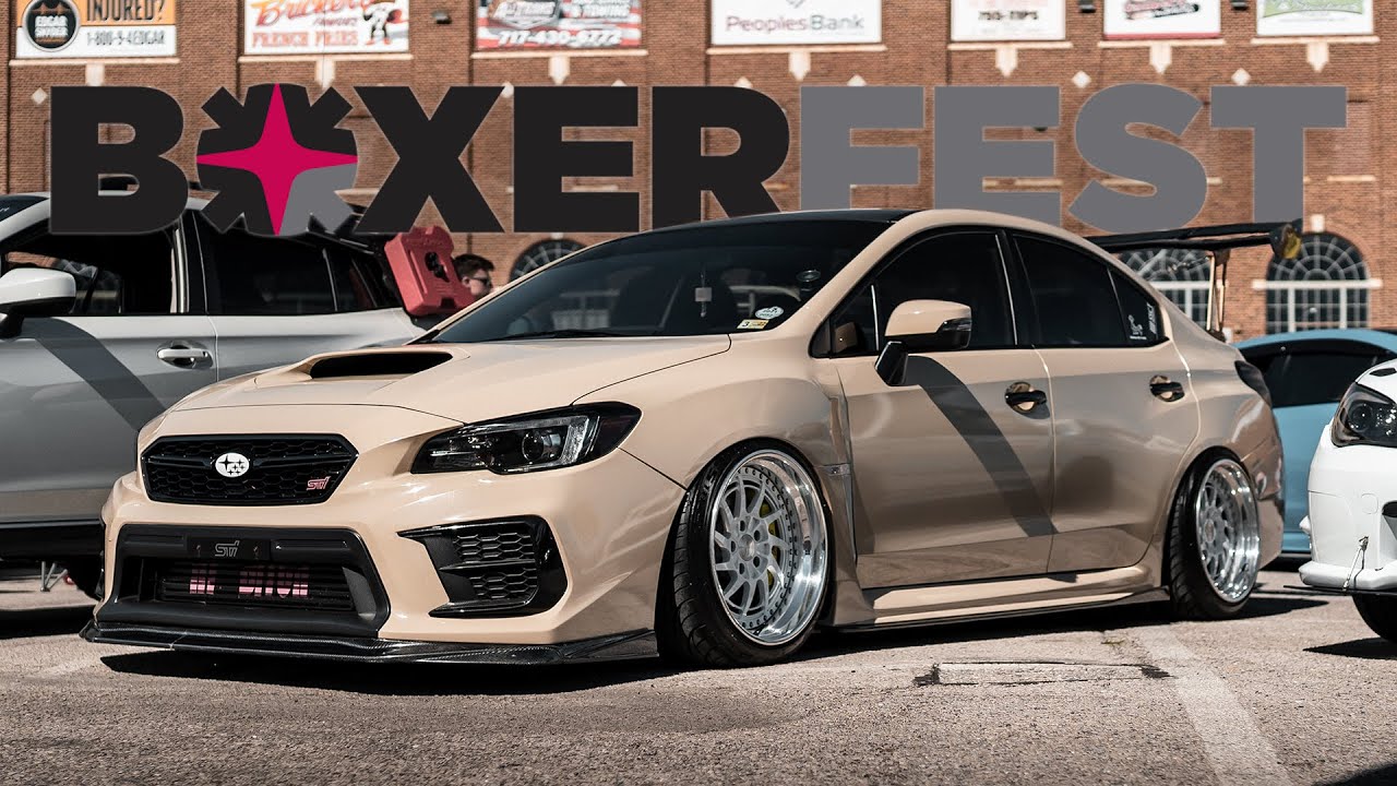 Boxerfest 2021 | Aftermovie