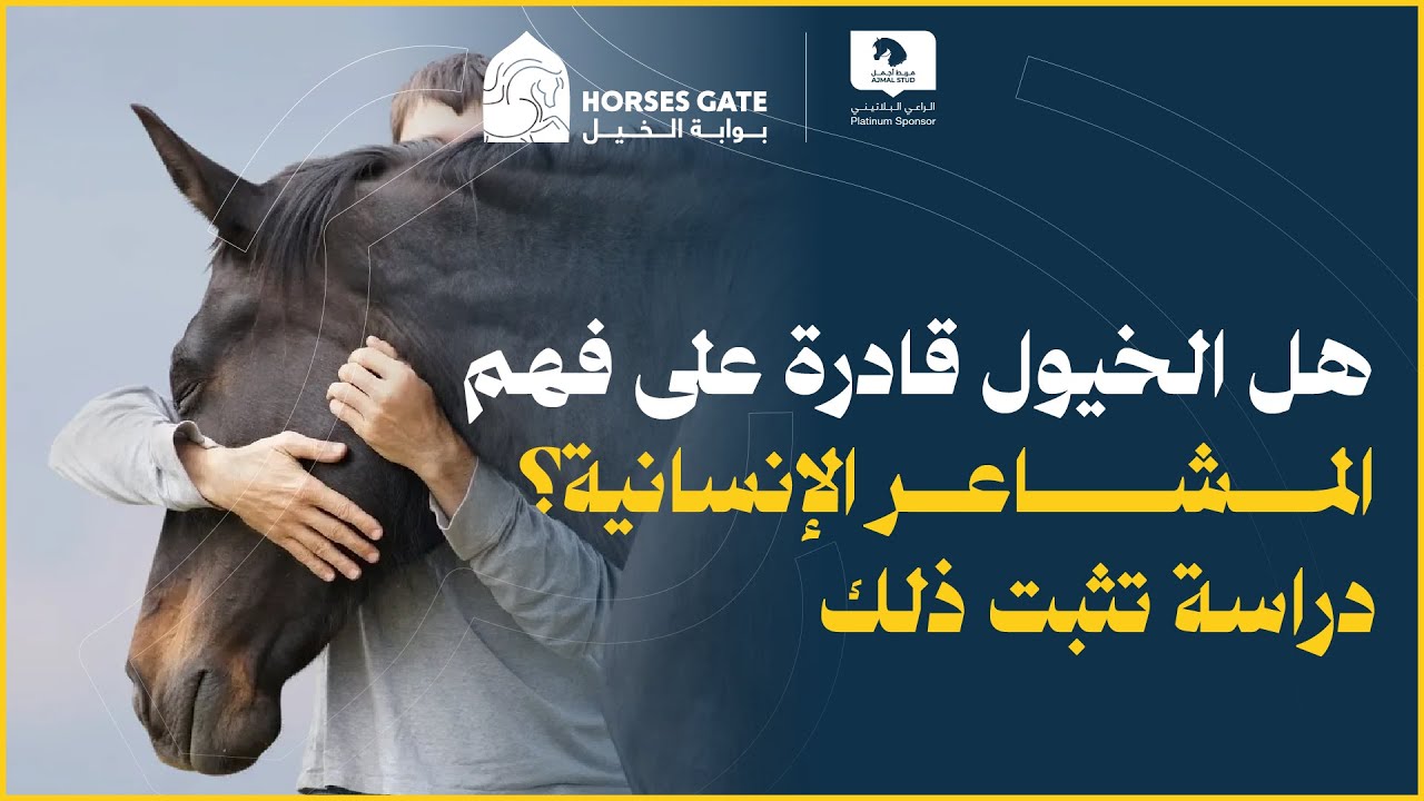 هل الخيول قادرة على فهم المشاعر الإنسانية؟ دراسة تثبت ذلك