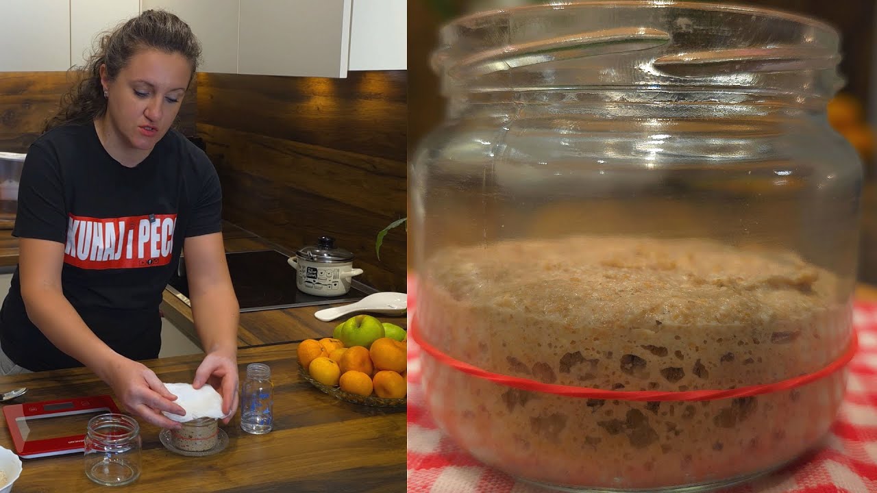 STARTER - domaći kvasac - kako se priprema i koristi