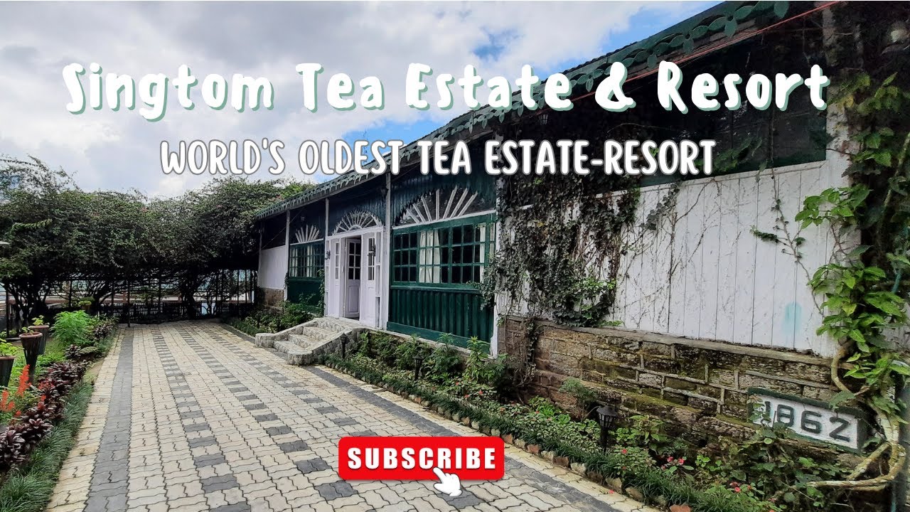 Singtom Tea Estate Resort Tour | World's Oldest Tea Estate Resort 1860 Built #singtomteaestate