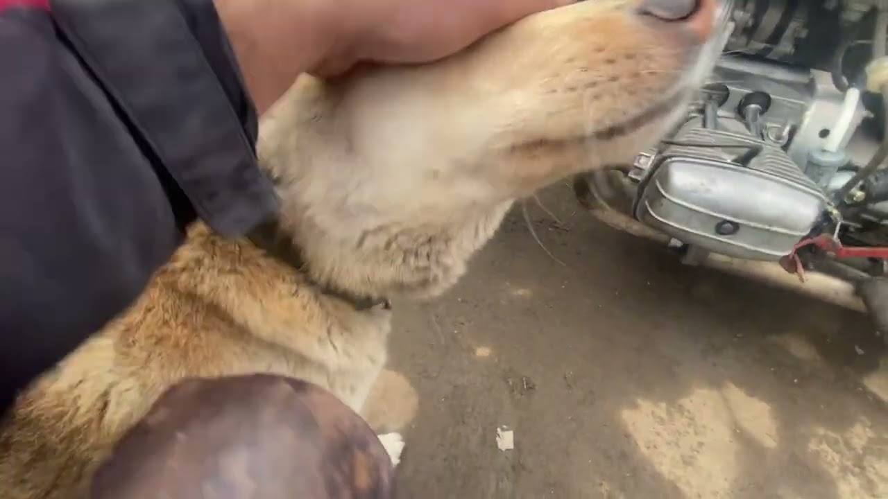 Сельский Днепр наконец-то запустился 👍🔥 