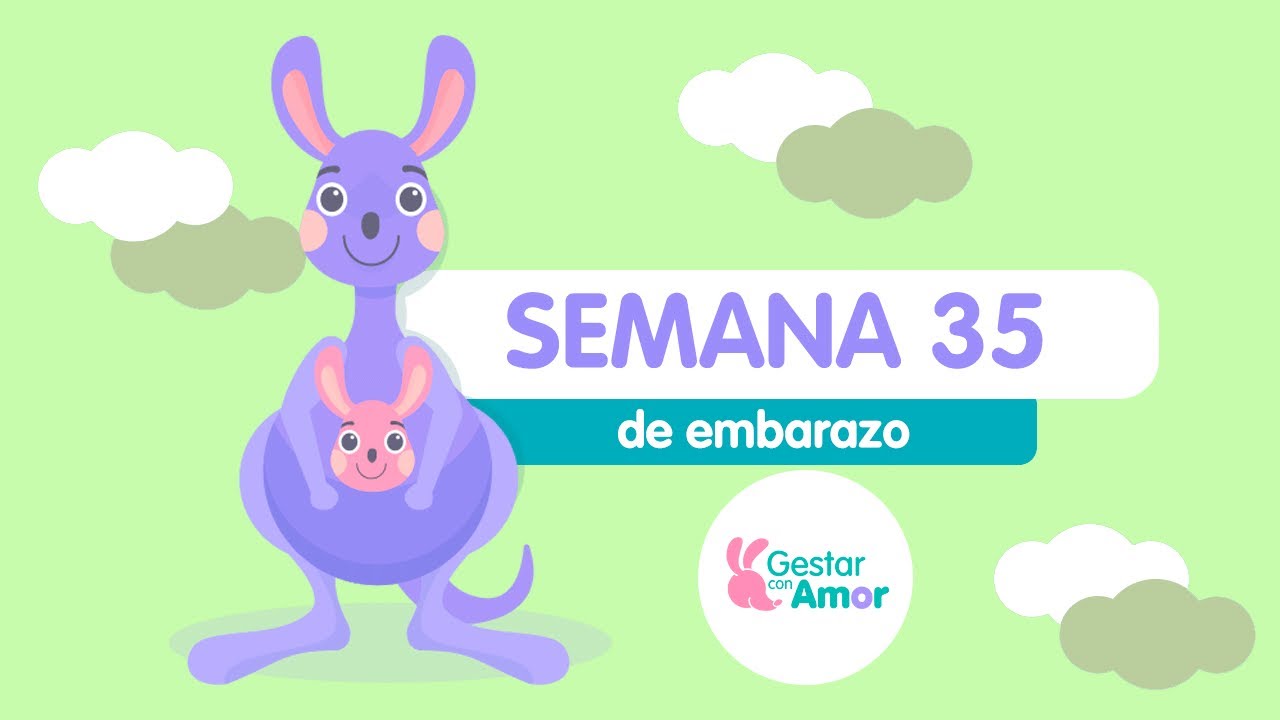 Semana 35 de embarazo ¡Alista la maleta para el hospital!