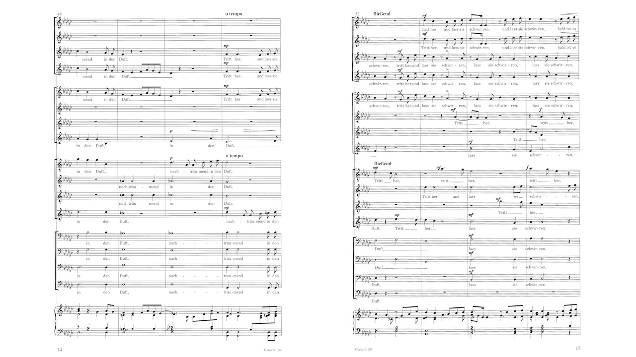 G. Mahler  - Im Abendrot