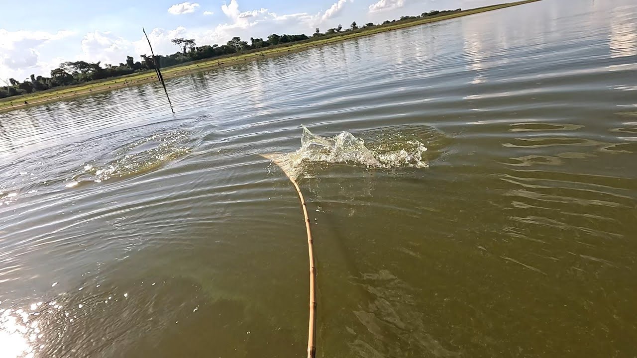 Que isso rapaz..Na varinha de bambu o negócio é sério Pescaria Raiz no Rio Grande 
