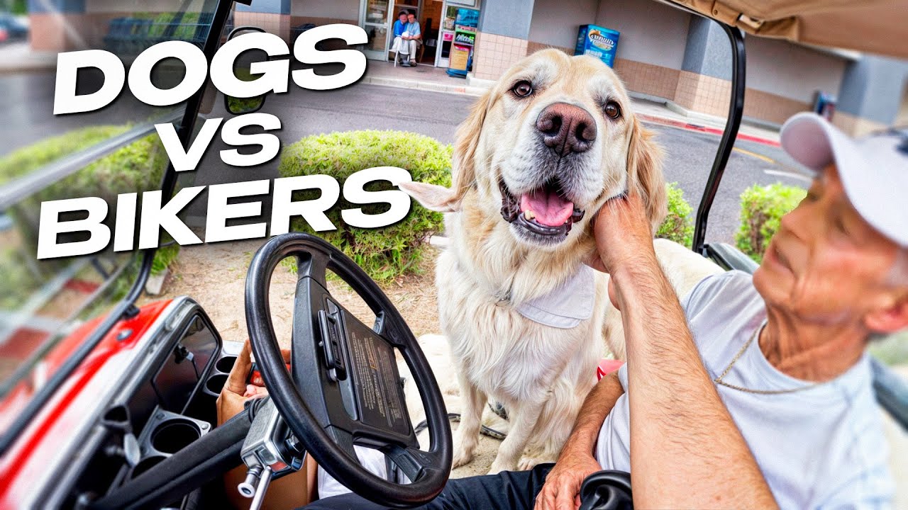 Top 8 Bikers and Dogs Moments!