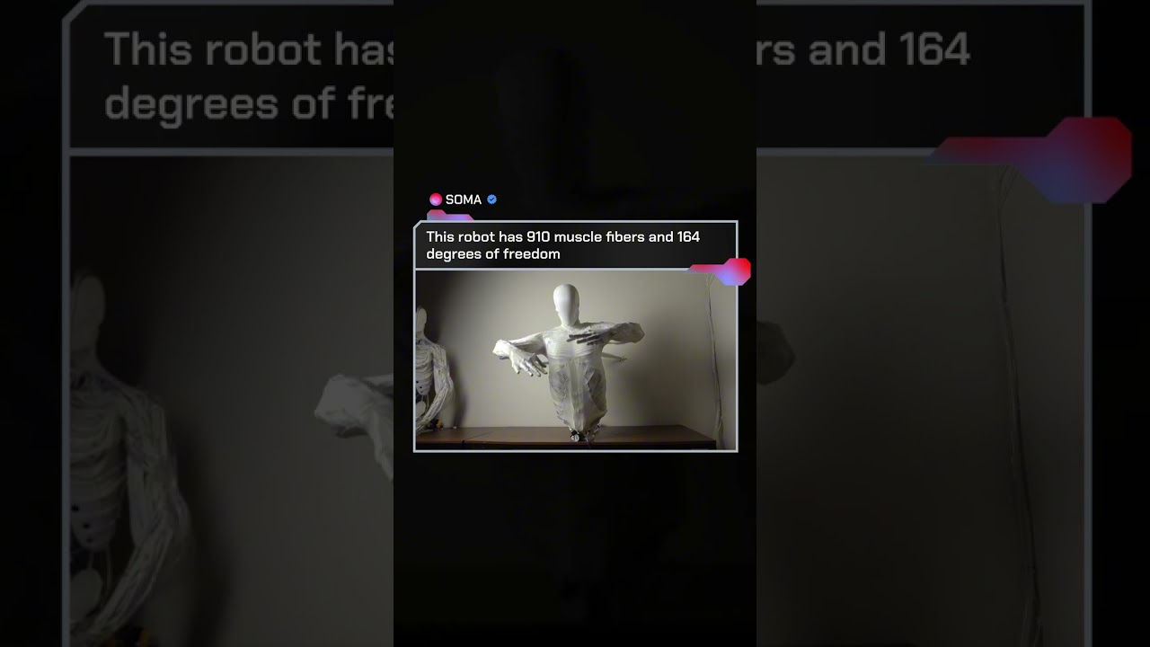 Torso 2 by Clone with Actuated Abdomen