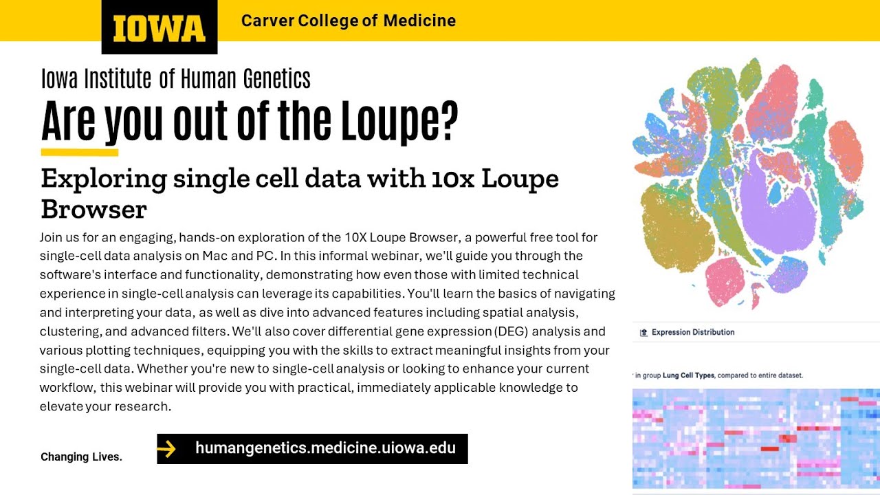 Exploring Single Cell Analysis with Loupe Browser