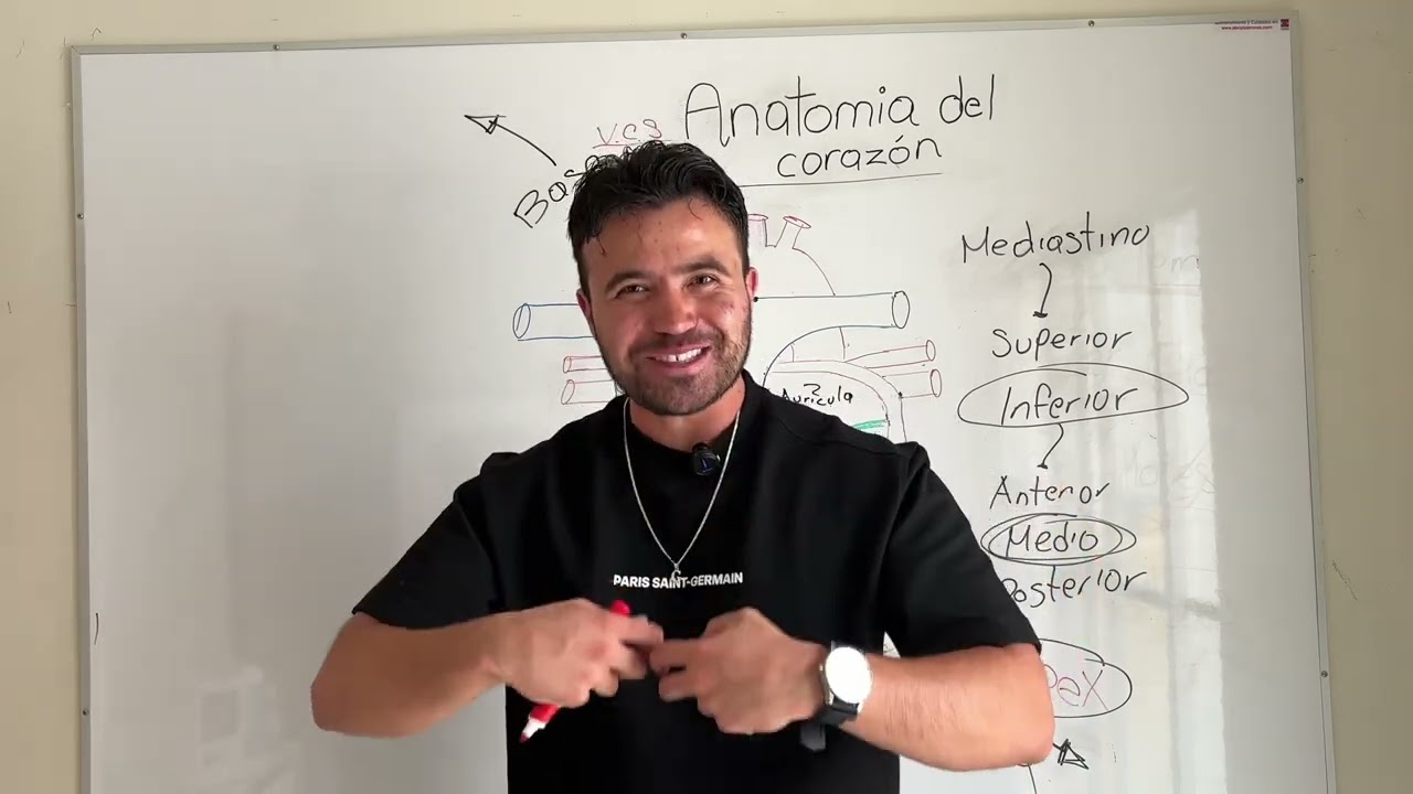 Anatomía del corazón (Generalidades)