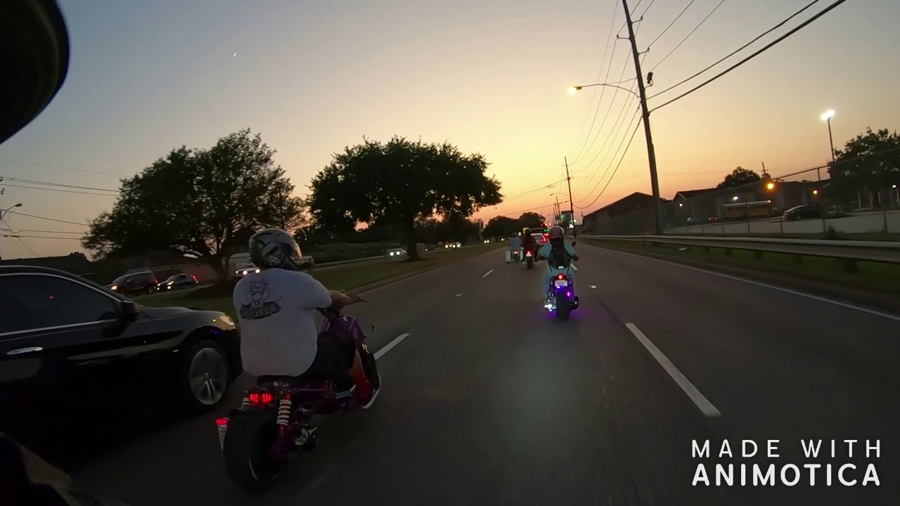Cajun Maddog Riders