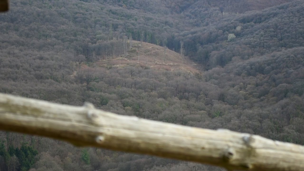 Masovna seča šuma na Fruškoj gori