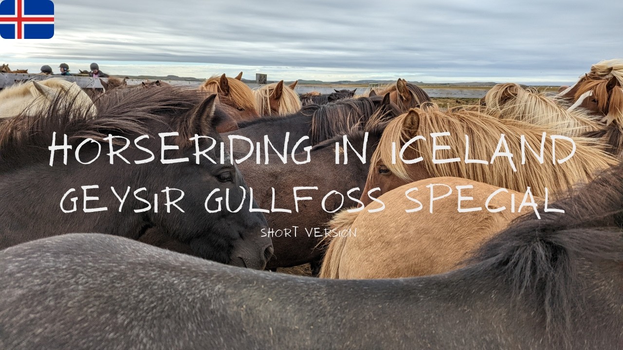 Horse riding tour with &Iacute;slandshestar in Iceland 4K ***SHORT VERSION***