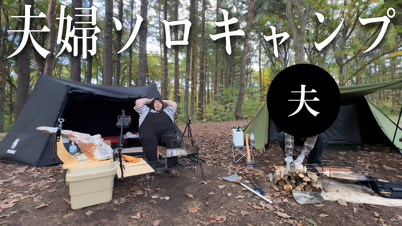 【年に一度】プロのデブ妻と夫のキャンプ/盲目老犬の冬キャンプ対策【DELTA3Plus】