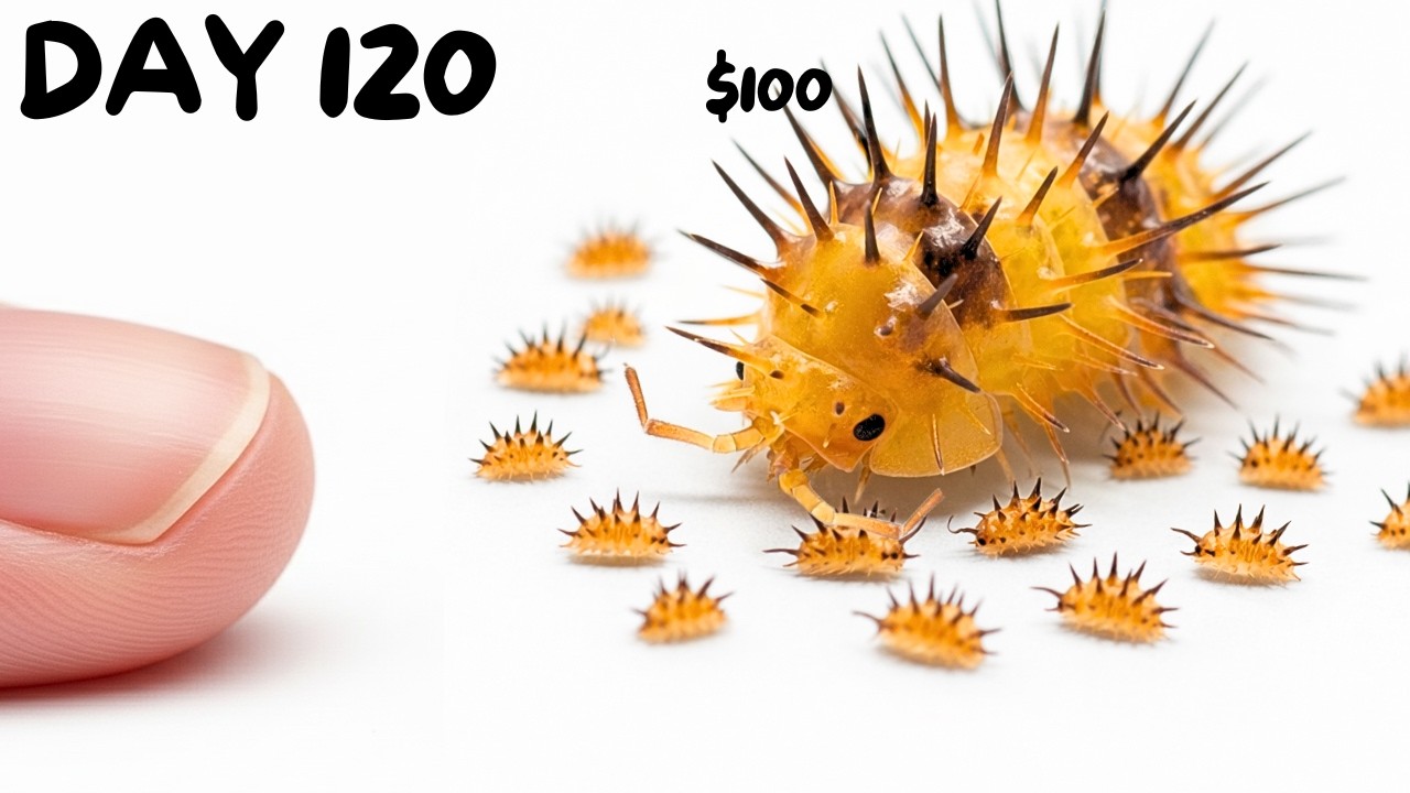 I Raised The Weirdest Bugs Until They Had Babies
